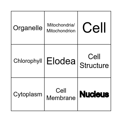 CELLS BINGO Card