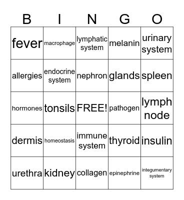 Body System BINGO Card