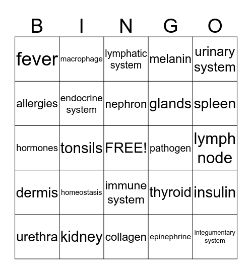 Body System BINGO Card