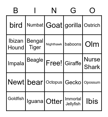 animal bingo Card
