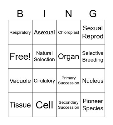 Science Bingo Card