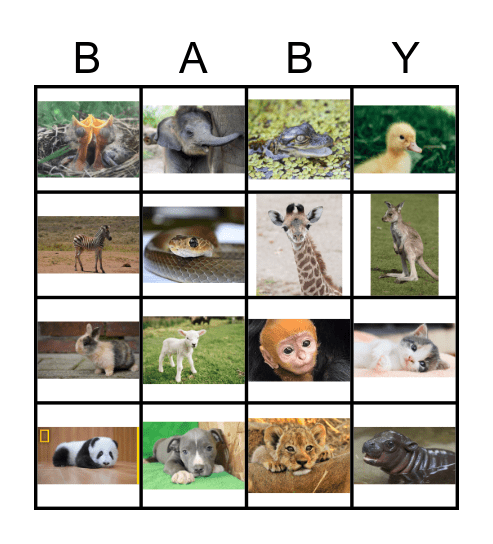 Animal Babies! Bingo Card