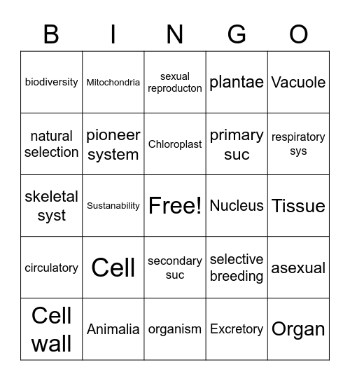 Aylin Garcia Bingo Card