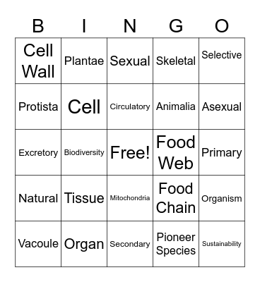 Ingrid Casanova Bingo Card