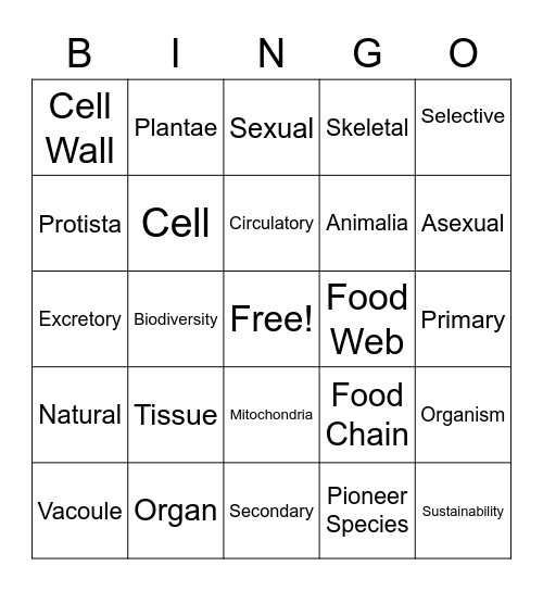 Ingrid Casanova Bingo Card