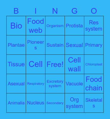 Jaime Ramirez Bingo Card