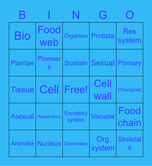 Jaime Ramirez Bingo Card