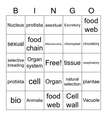 Alyin Bingo Card