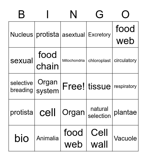 Alyin Bingo Card