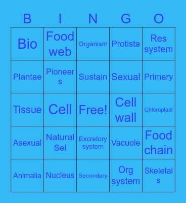 Jaime Ramirez Bingo Card