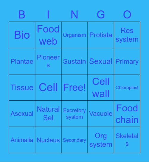 Jaime Ramirez Bingo Card