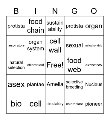 Untitled Bicngo Bingo Card