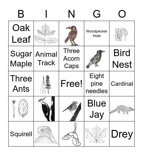 Flynn Woods Bingo Card