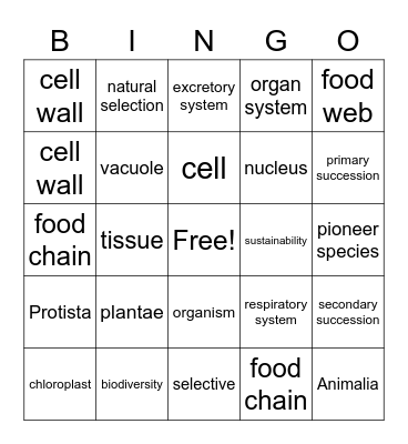 julian Bingo Card