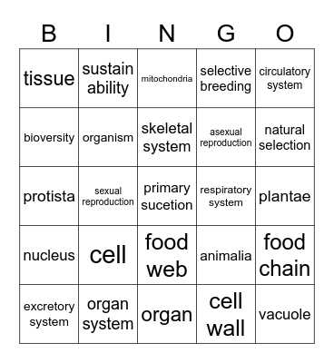 christian Bingo Card