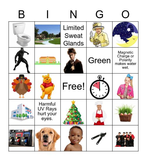 WH (Who, What, When, Where, Why)  BINGO Card