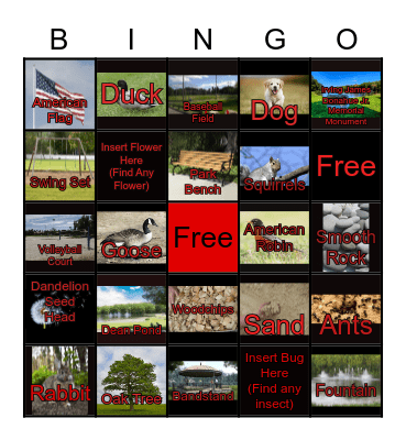 DEAN PARK NATURE BINGO Card