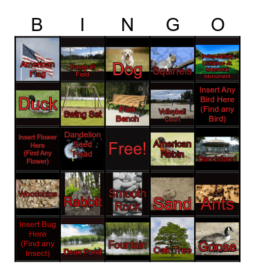 DEAN PARK NATURE BINGO Card