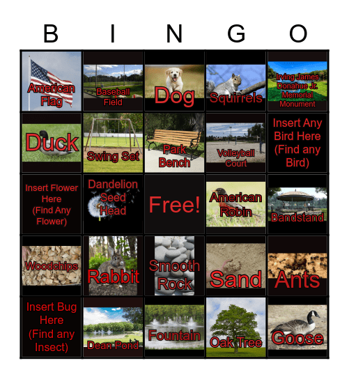 DEAN PARK NATURE BINGO Card