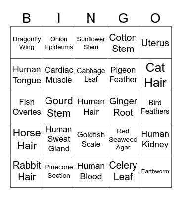 Microscope Bingo Card