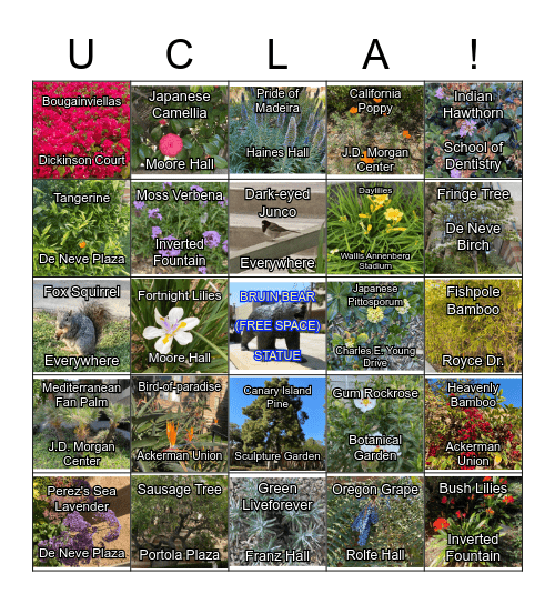 UCLA SCAVENGER BINGO Card