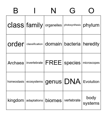 7th Grade Bingo Card
