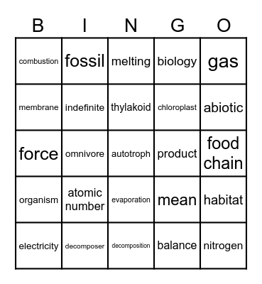 VL7: BINGO 5.24 Bingo Card