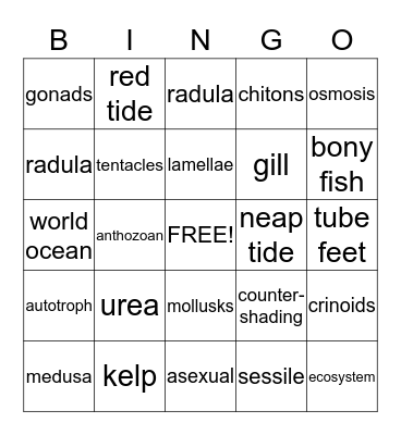 Marine Biology Final Review Bingo Card