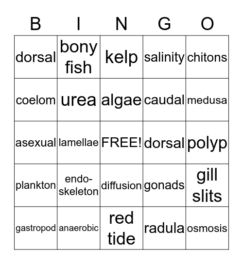 Marine Biology Final Review  Bingo Card
