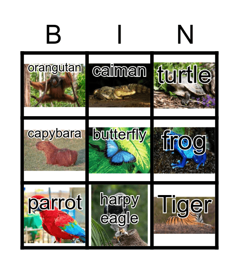 Tropical Rainforest Bingo Card