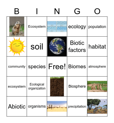 8-1 Living Things and the environment Bingo Card