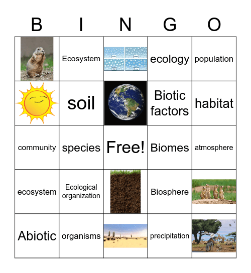 8-1 Living Things and the environment Bingo Card