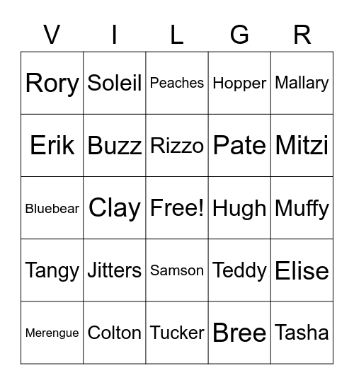 Animal Crossing Villager Bingo Card