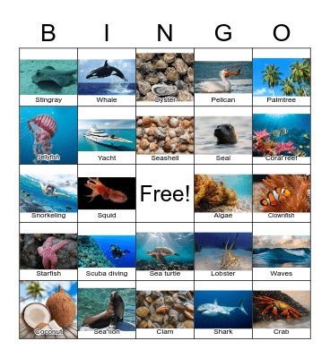 Ocean Bingo Card