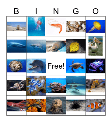 Ocean Bingo Card