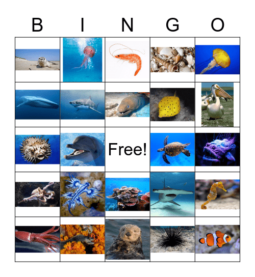 Ocean Bingo Card