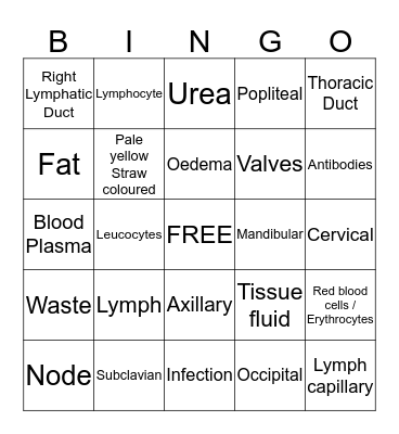 Lymphatic System Bingo Card
