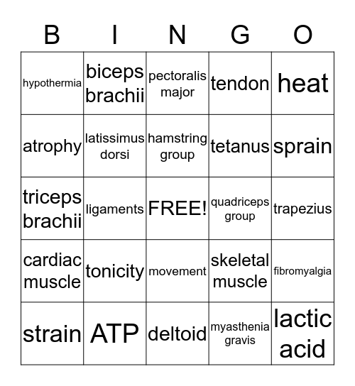 Chapter 24 Muscular System Bingo Card