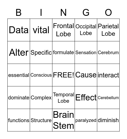 Workshop & Bingo Card