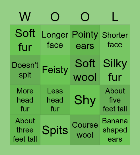 Identifying Llamas vs Alpacas! - Which do you see? Bingo Card
