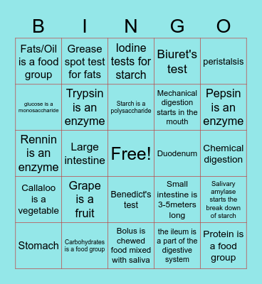 Digestion and Food tests Bingo Card
