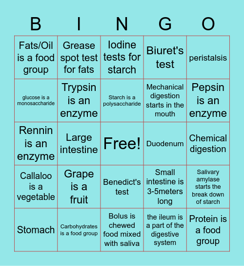 Digestion and Food tests Bingo Card