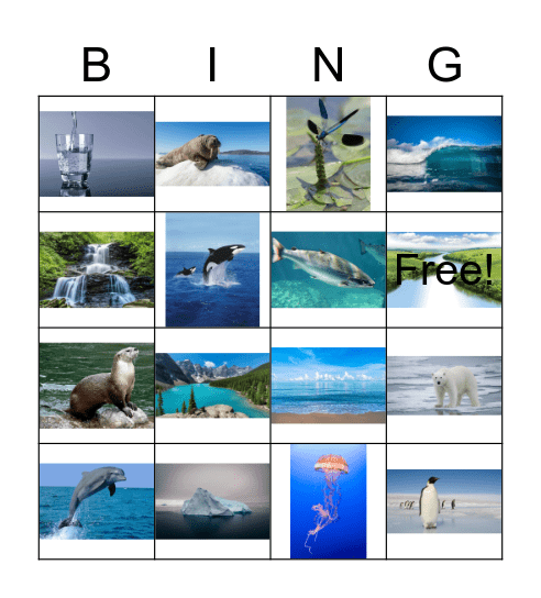 water Bingo Card