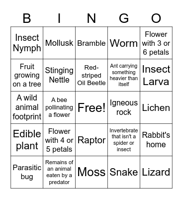 ECA 2nd/3rd Nature Hunt Bingo Card