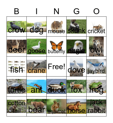 Animals & Insects Bingo Card