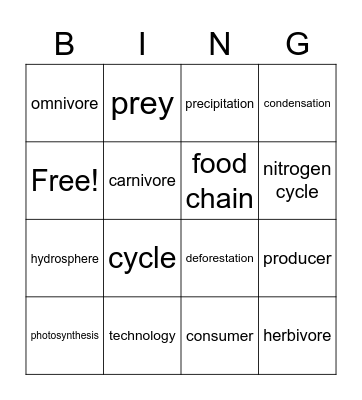 Matter and Energy in Ecosystems Bingo Card