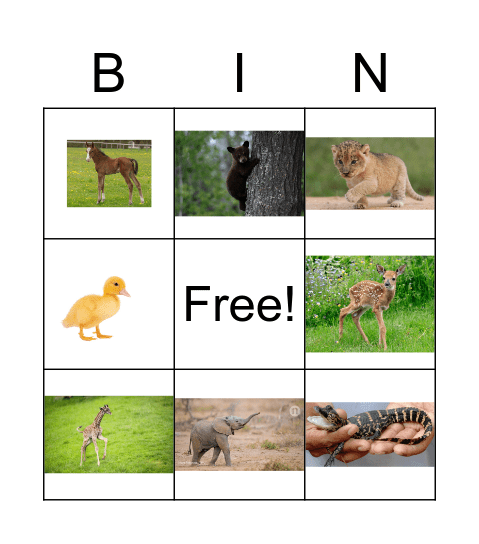 Baby Animal Bingo Card