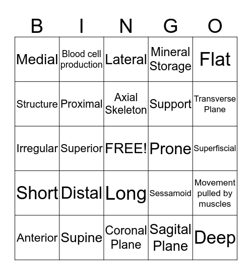 Anatomy General Terms and Function/Types of Bones Bingo Card