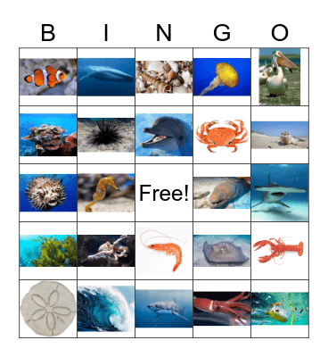 Ocean Bingo Card