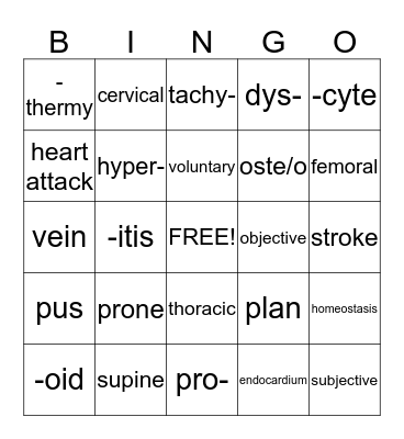 Midterm Review Bingo Card
